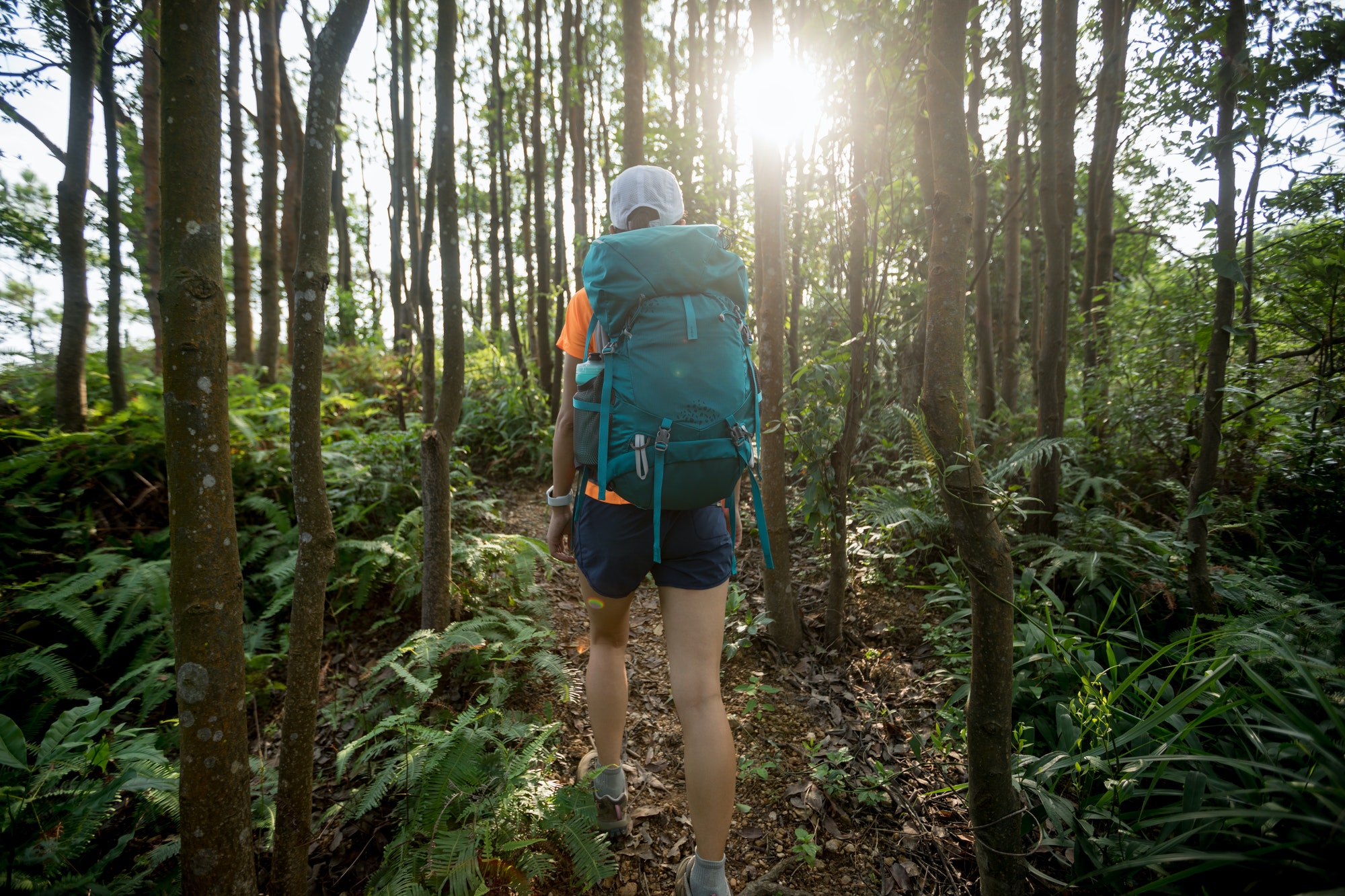 Woman hiker hiking in sunrise tropical rainforest