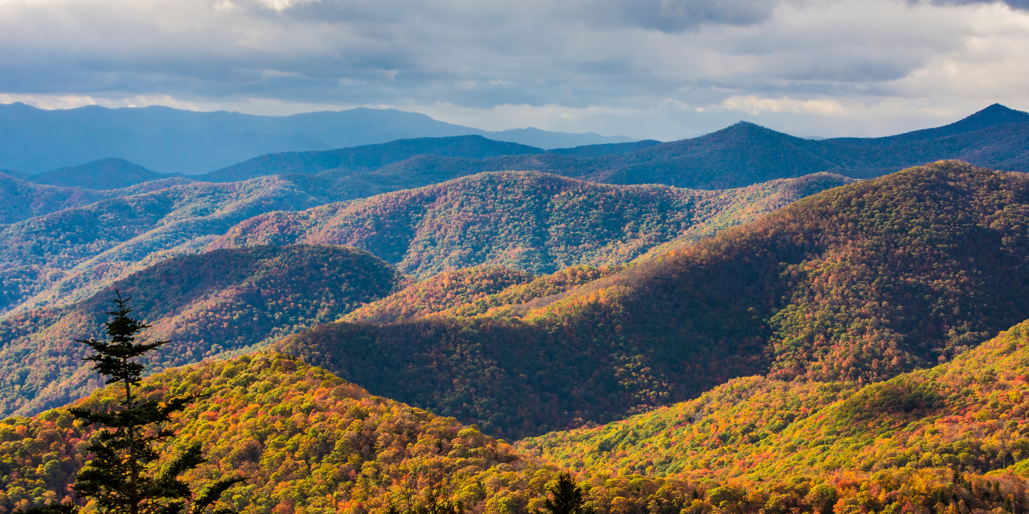This image shows the rolling slopes of the Smoky Mountains covered with red, gold, and yellow fall foliage.