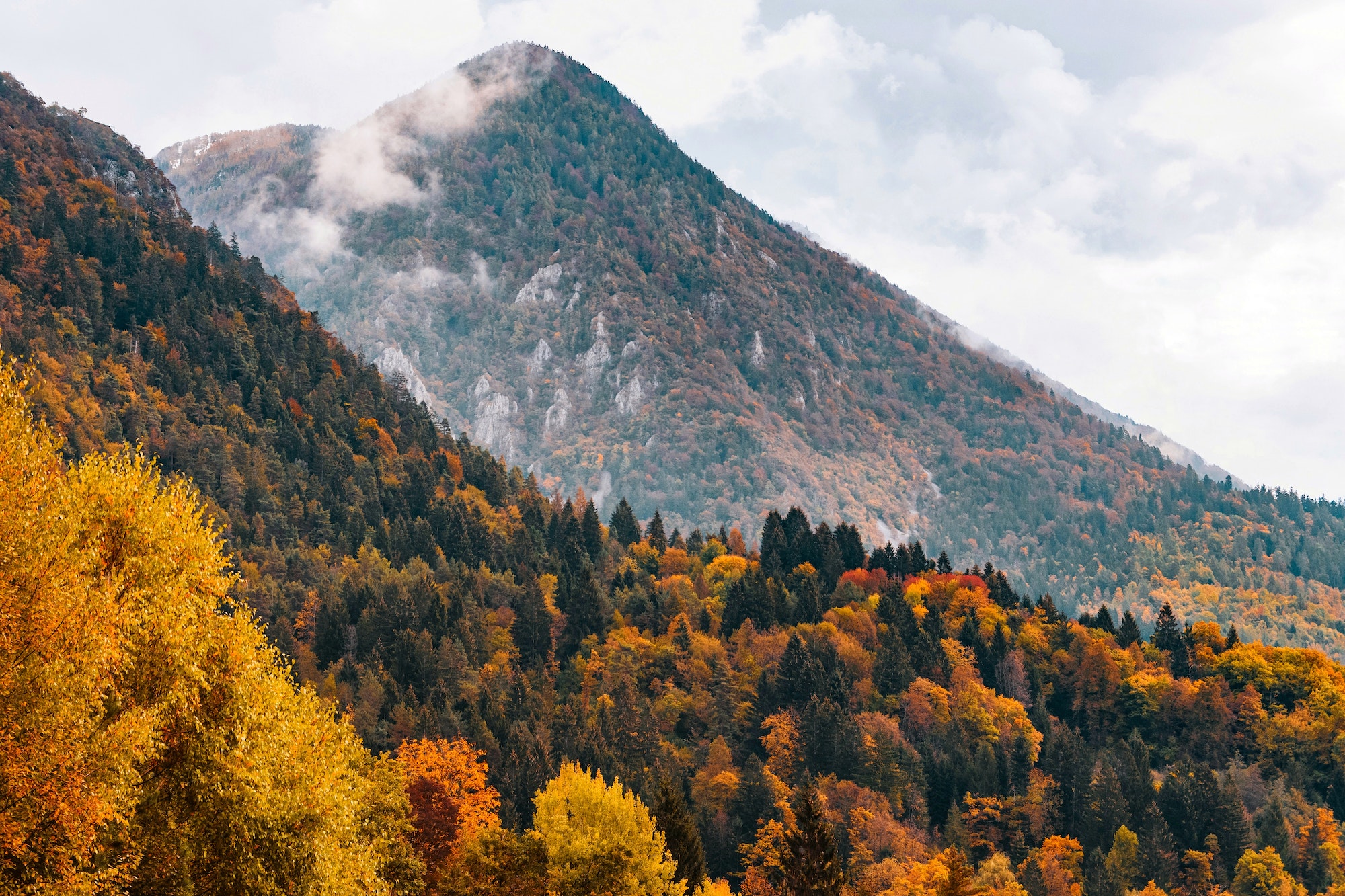 Idyllic autumn landscape with fall colors of trees on misty hills and mountains.