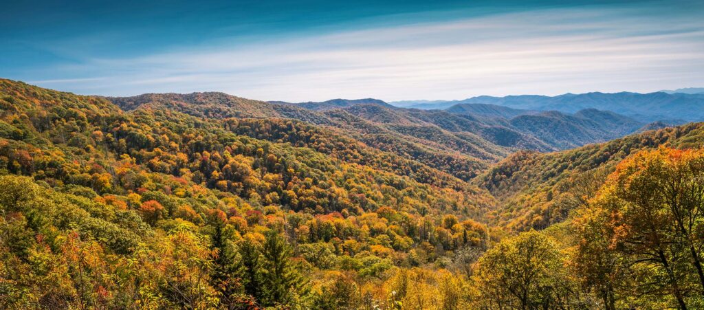 fall colors of great smoky mountains near waynesville nc