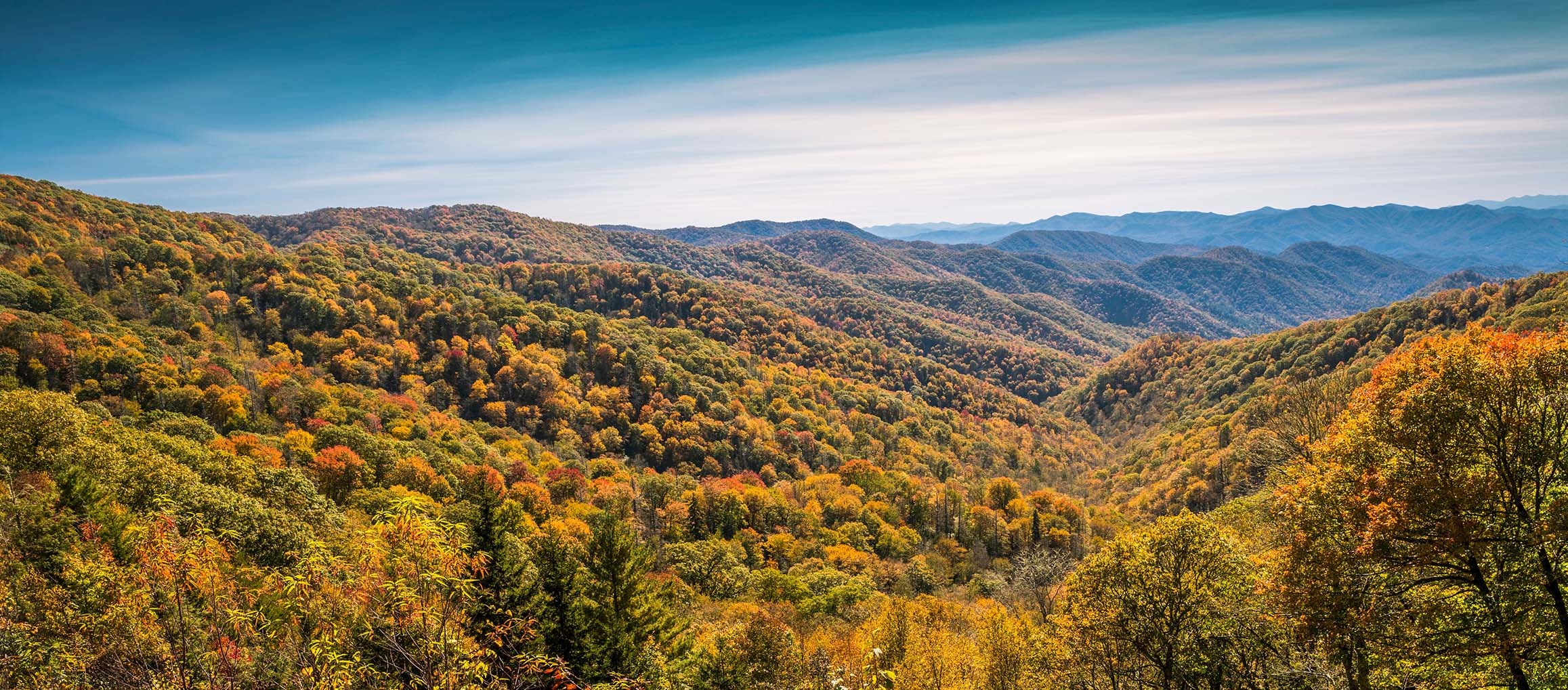 fall colors of great smoky mountains near waynesville nc